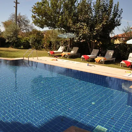 Pegasus & אולודניץ